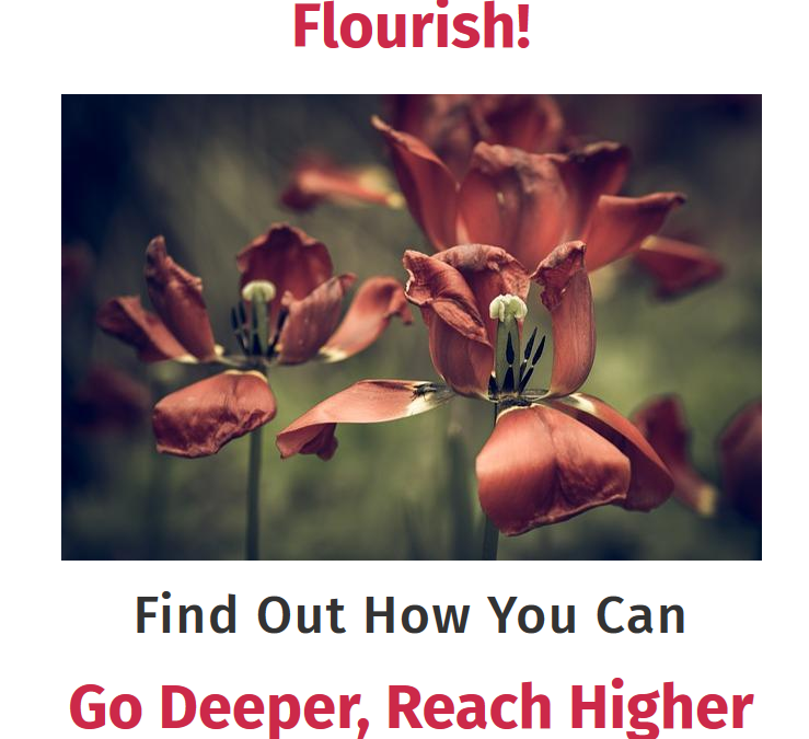 Flourish! The Story of Everyone