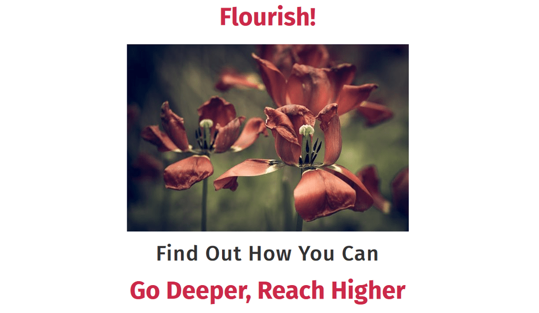 Flourish! Grandeur Program