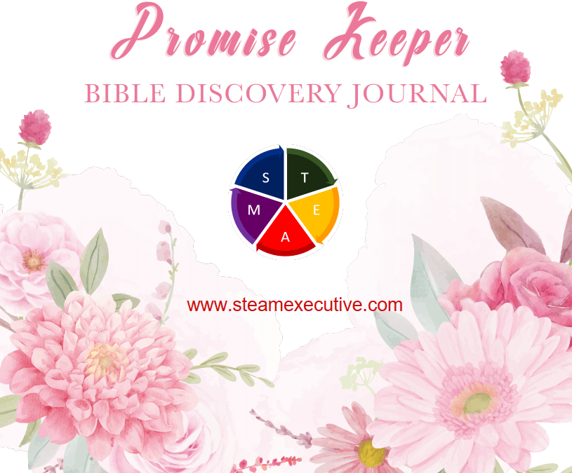 Promise Keeper Bible Discovery Journal Free!
